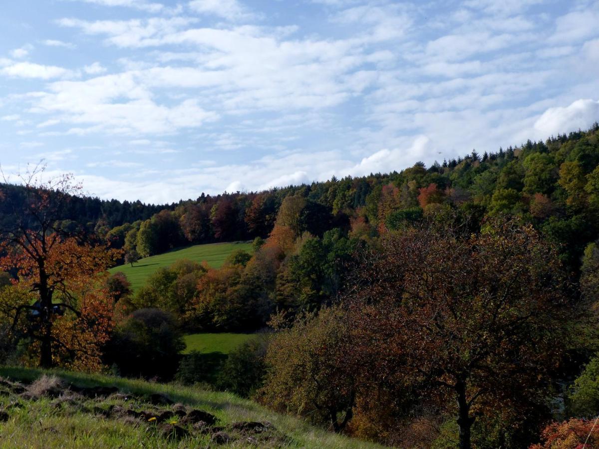 Au Chalet De Jo Muhlbach-sur-Munster Exteriör bild