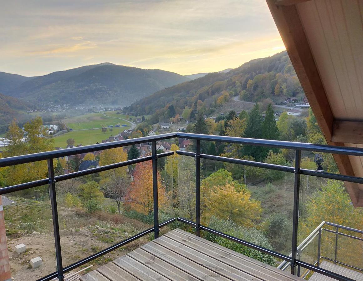 Au Chalet De Jo Muhlbach-sur-Munster Exteriör bild
