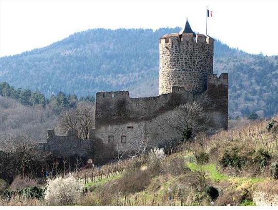 Au Chalet De Jo Muhlbach-sur-Munster Exteriör bild
