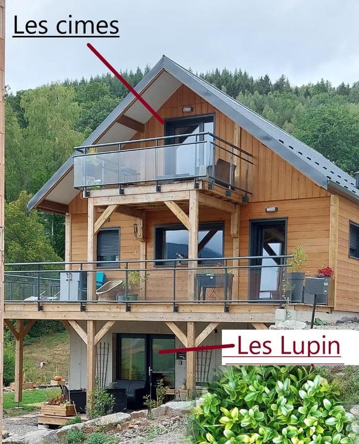 Au Chalet De Jo Muhlbach-sur-Munster Exteriör bild